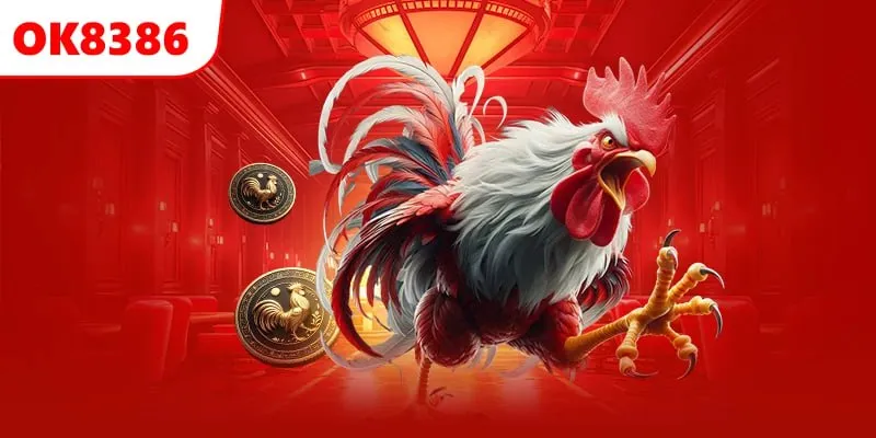 Chọi kê trực tiếp kèm bình luận hấp dẫn