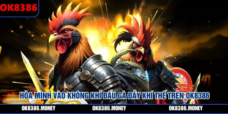 Hòa mình vào không khí đấu gà đầy khí thế trên OK8386